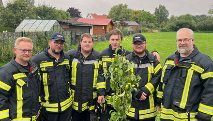 Baumpflanz-Challenge 2025